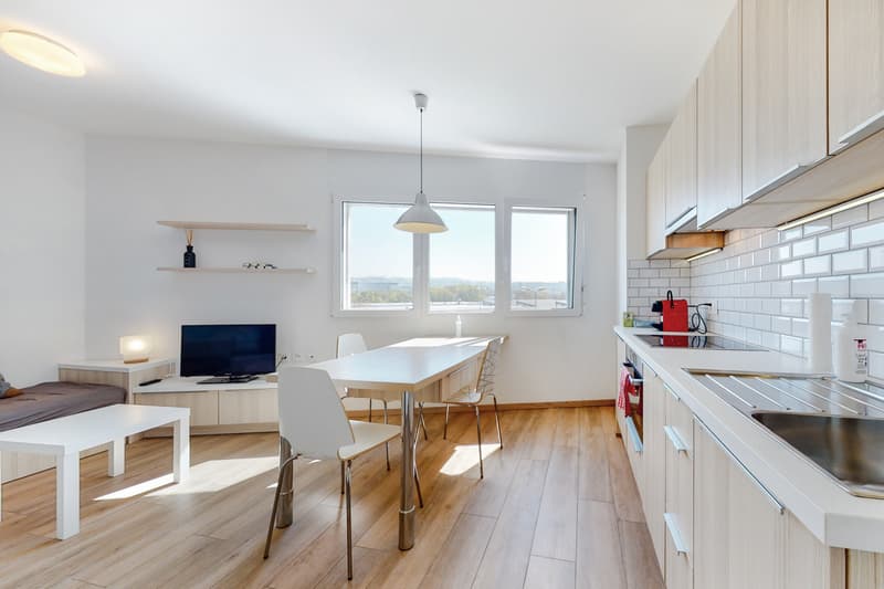 Ihr Apartment in Bussigny! (3)
