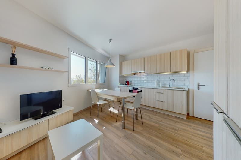 Ihr Apartment in Bussigny! (6)