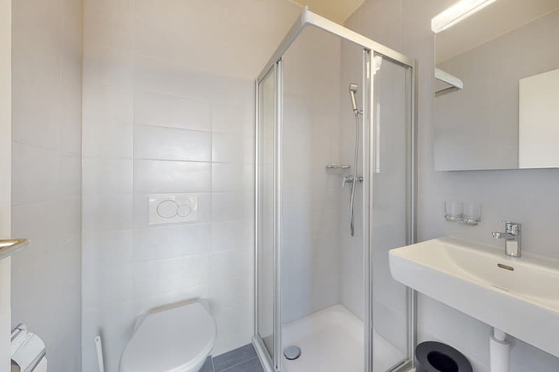 Ihr Apartment in Bussigny! (8)