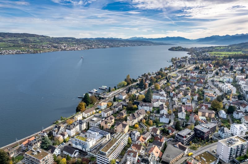 Representative commercial space near the train station and Horgen ferry (2)