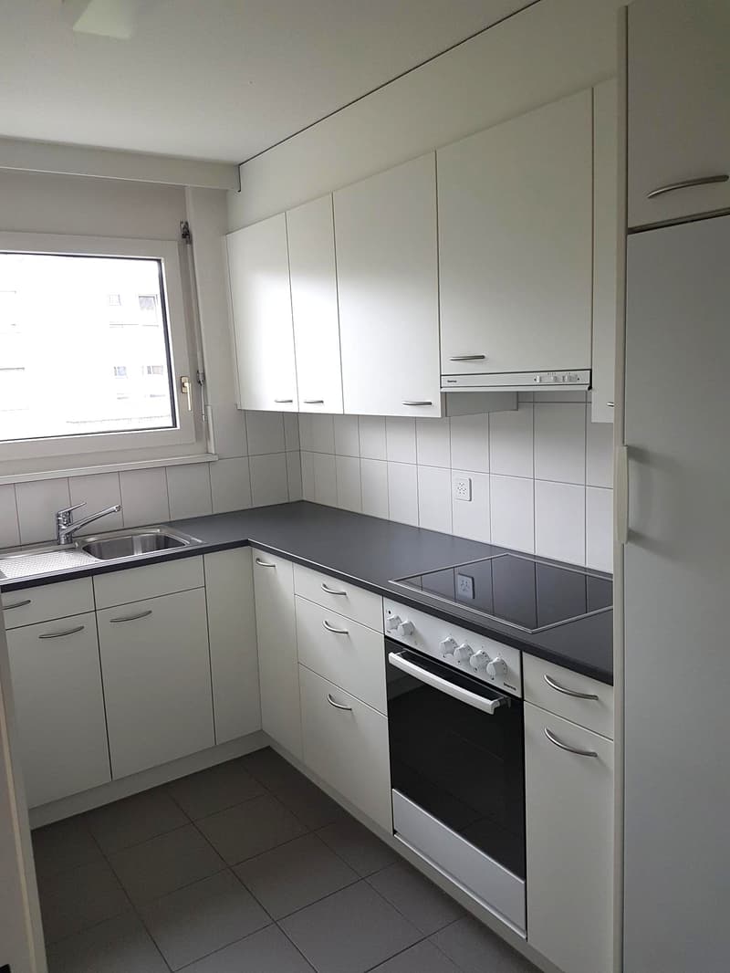 Appartement lumineux à Aarau Rohr (3)