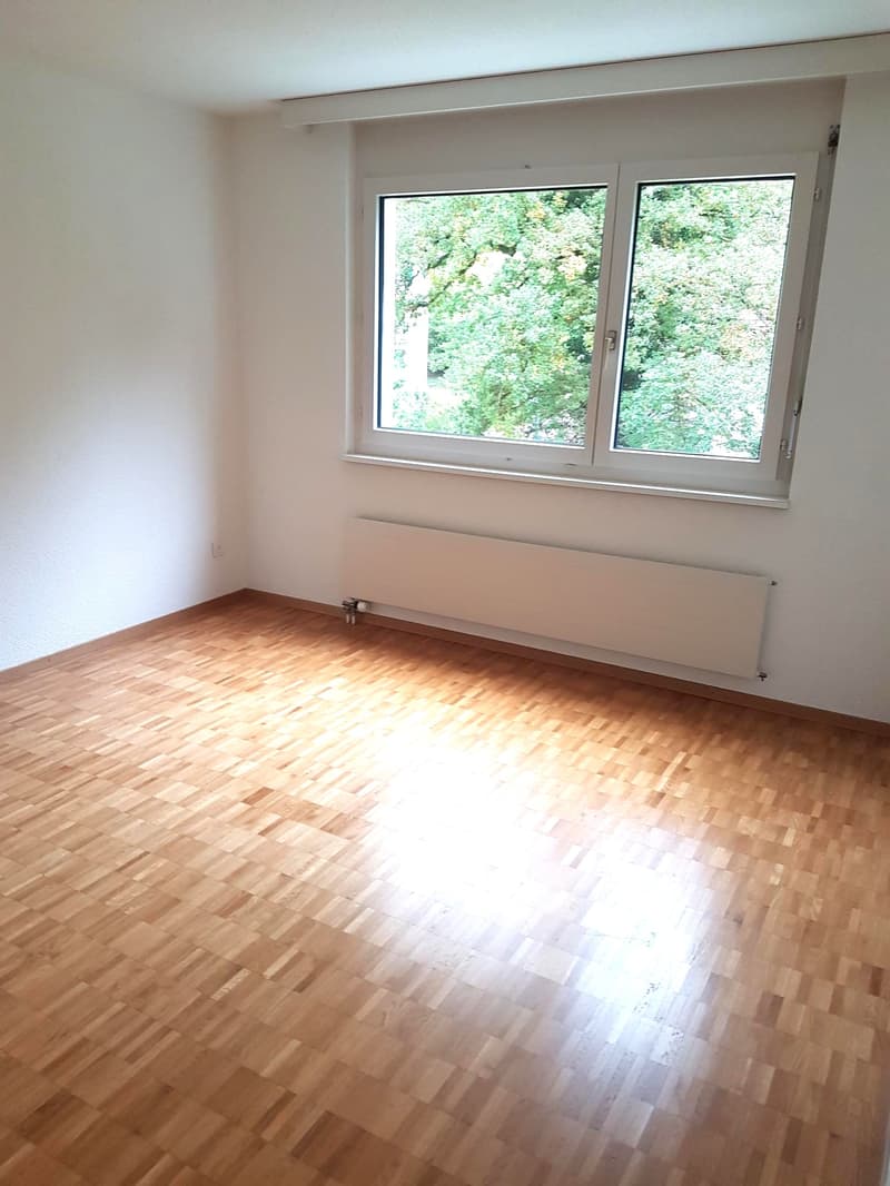 Appartement lumineux à Aarau Rohr (2)