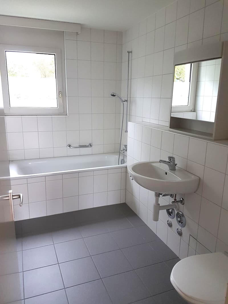 Appartement lumineux à Aarau Rohr (4)