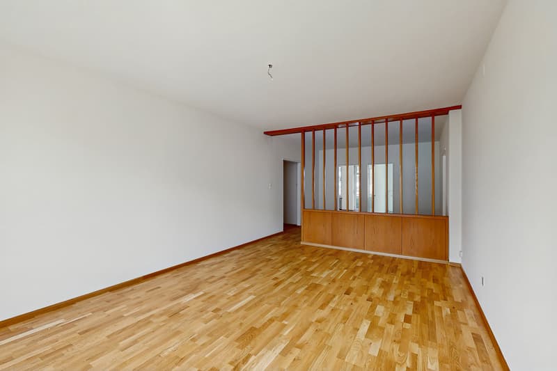 Autant d'espace au cœur de Bâle - 150m2 sur la Claraplatz (6)