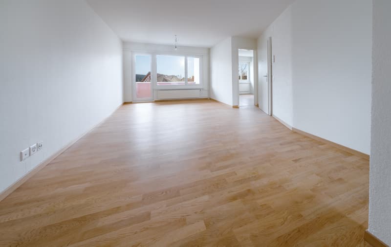 Beautiful apartment in Rümlang (3)