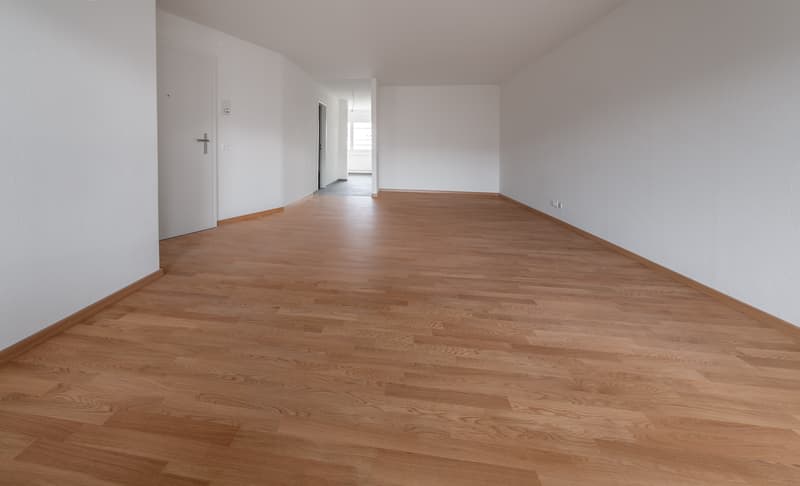 Beautiful apartment in Rümlang (4)