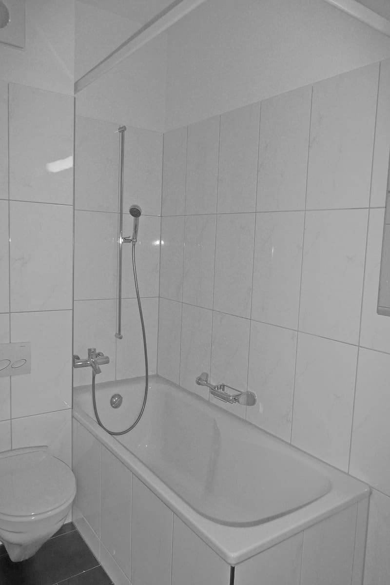 Appartement dans un quartier calme (5)