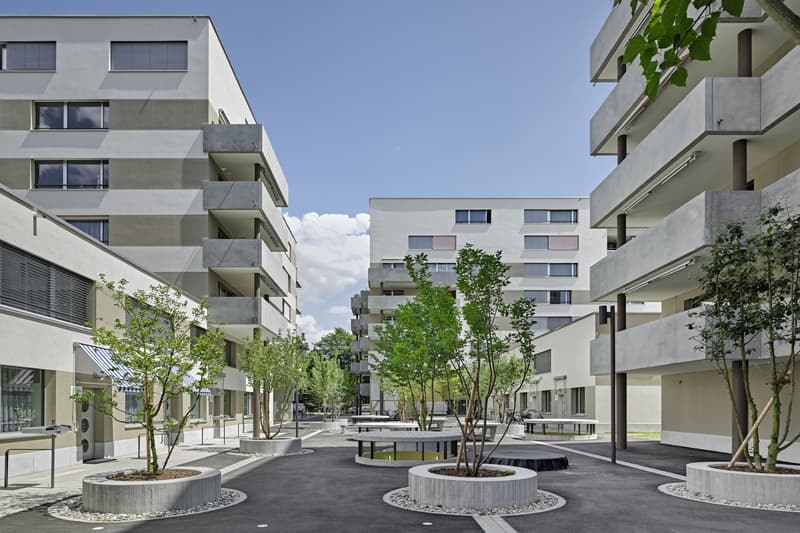 Appartamento modernissimo in posizione centrale vicino alla stazione di Stettbach (3)