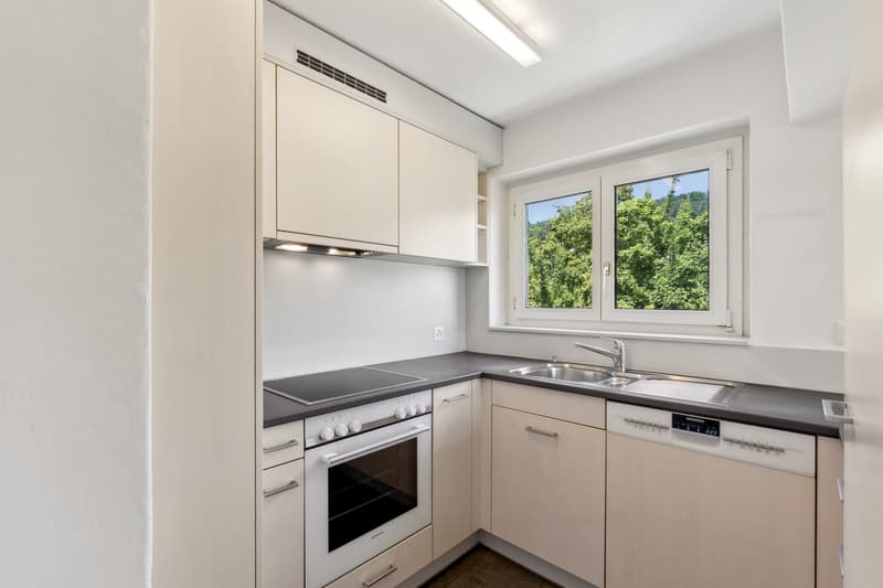 Appartement attique attrayant avec grande terrasse sur le toit (7)