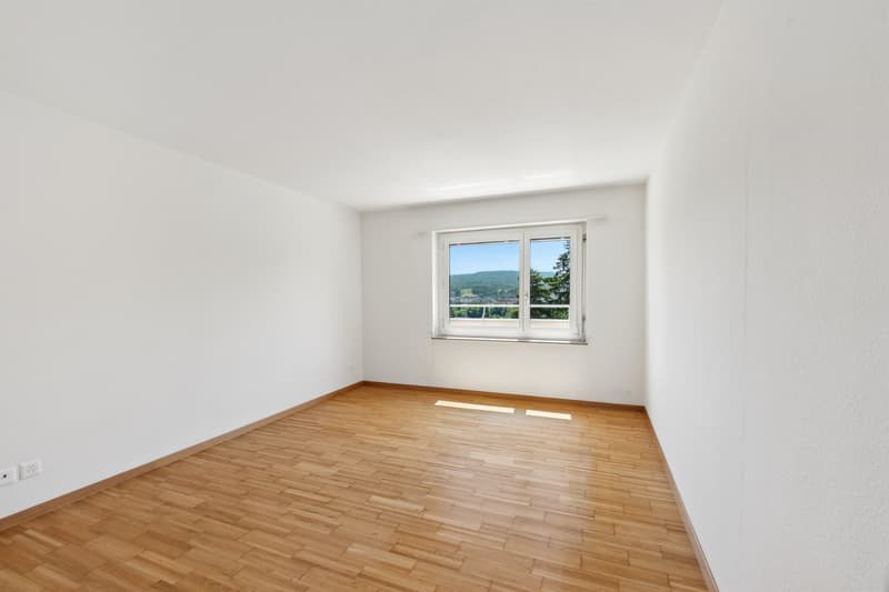 Appartement attique attrayant avec grande terrasse sur le toit (4)
