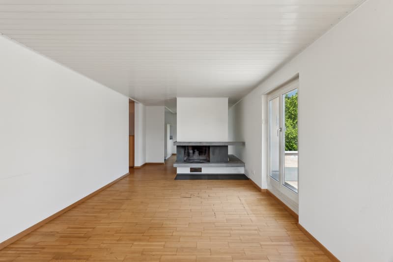Appartement attique attrayant avec grande terrasse sur le toit (5)