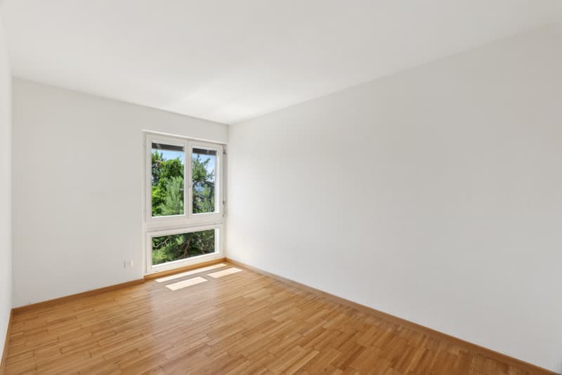 Appartement attique attrayant avec grande terrasse sur le toit (3)