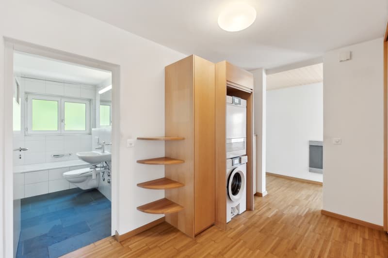 Appartement attique attrayant avec grande terrasse sur le toit (2)