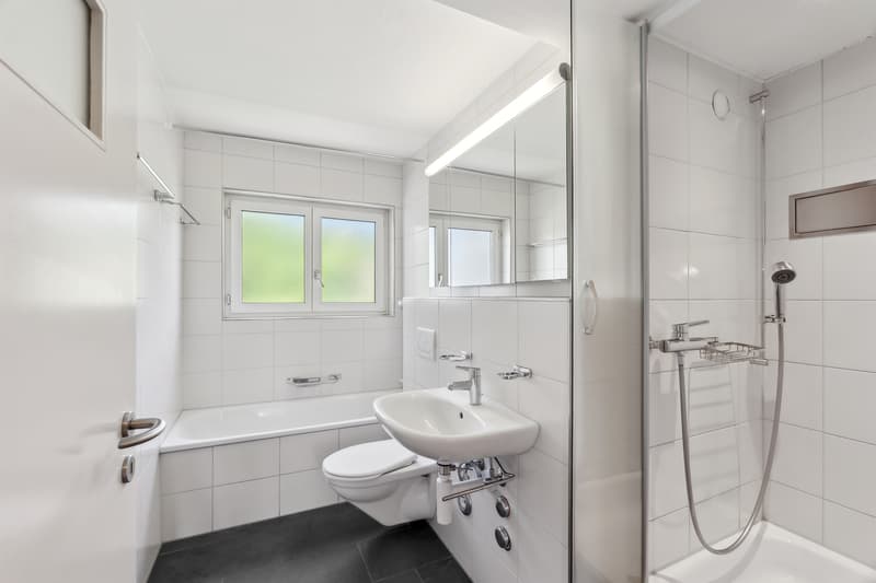 Appartement attique attrayant avec grande terrasse sur le toit (8)