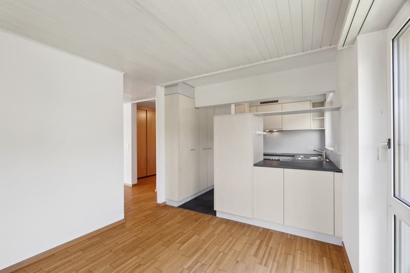 Appartement attique attrayant avec grande terrasse sur le toit (6)