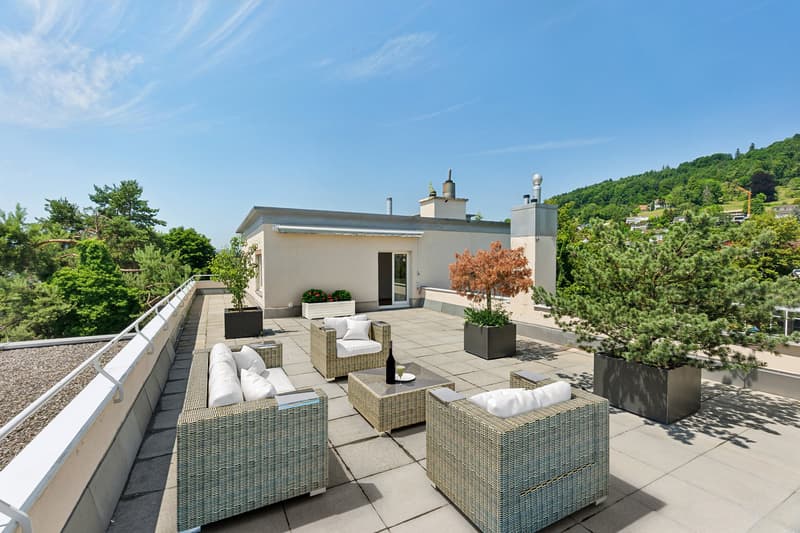 Appartement attique attrayant avec grande terrasse sur le toit (1)