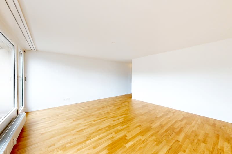 Dachwohnung mit grosser Terrasse und grossartiger Aussicht! (3)