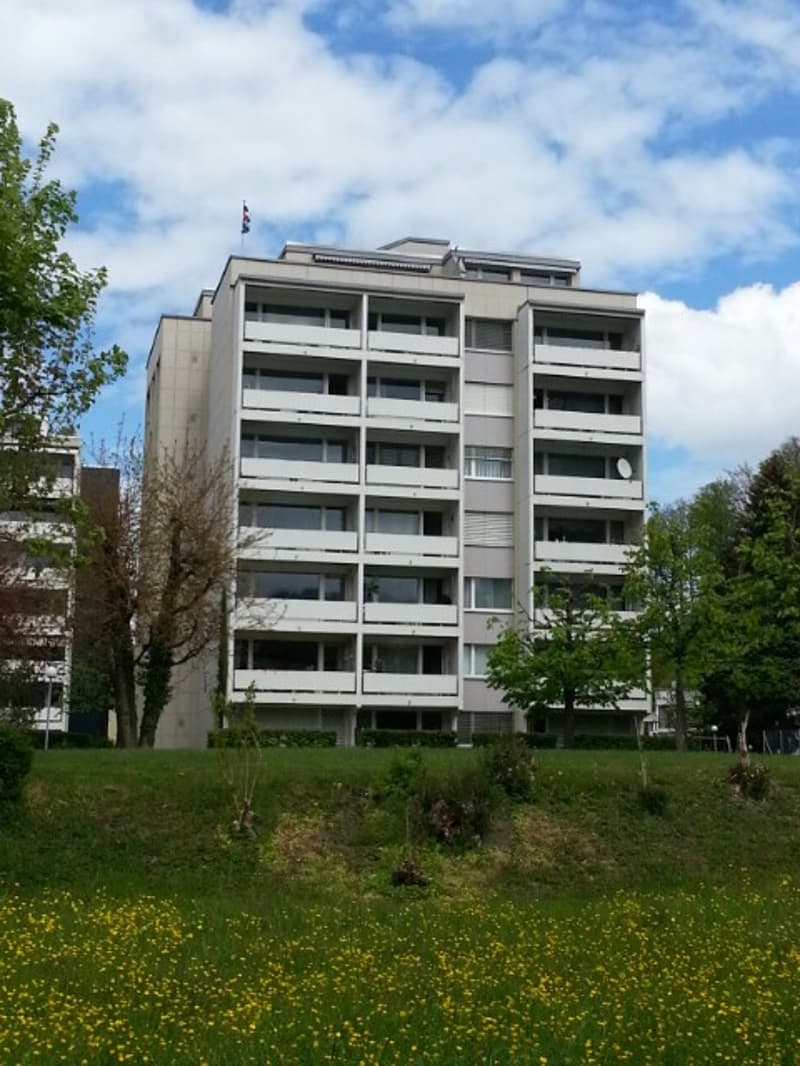 Dachwohnung mit grosser Terrasse und grossartiger Aussicht! (1)