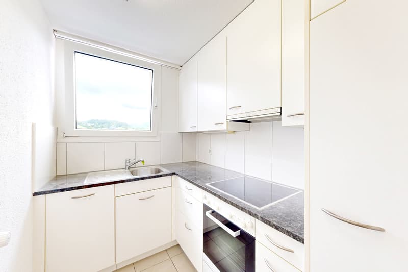 Dachwohnung mit grosser Terrasse und grossartiger Aussicht! (2)
