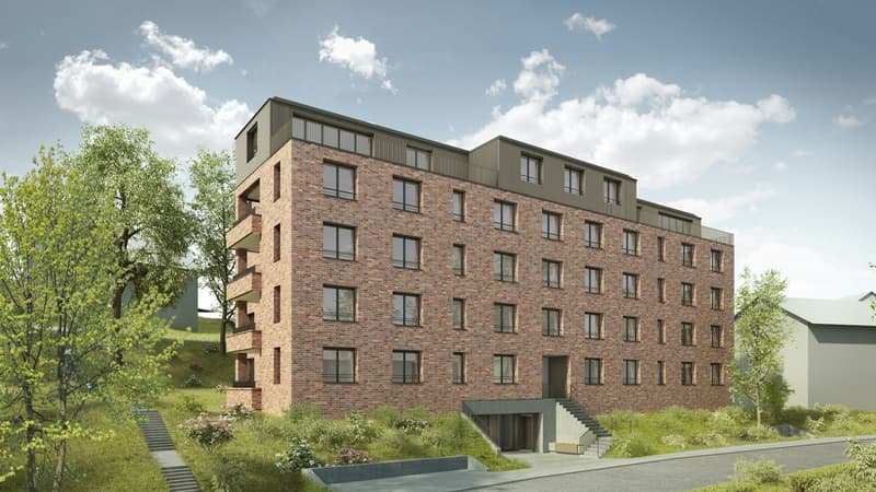 Appartement moderne - Construction neuve 2024 (2)