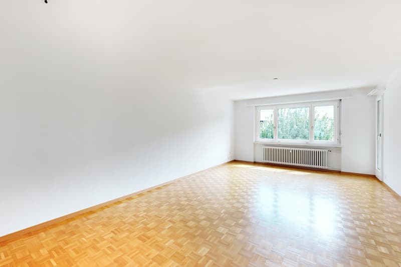 Appartement en attique avec vue sur le lac (8)