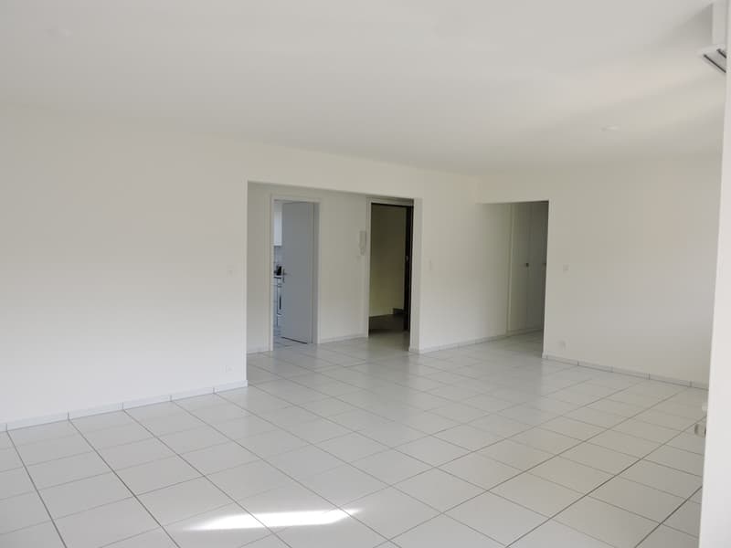 Appartement en attique avec vue sur le lac (3)