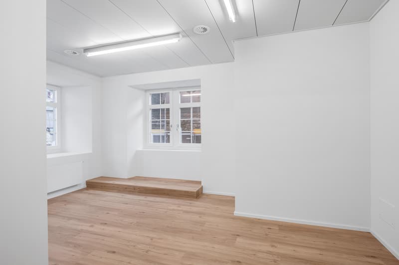 Spazio ufficio affascinante, nel cuore di Winterthur (6)