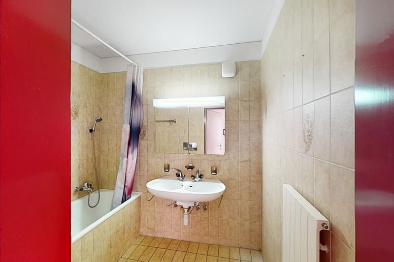 Light, space and tranquility: living in the green in Biasca (7)
