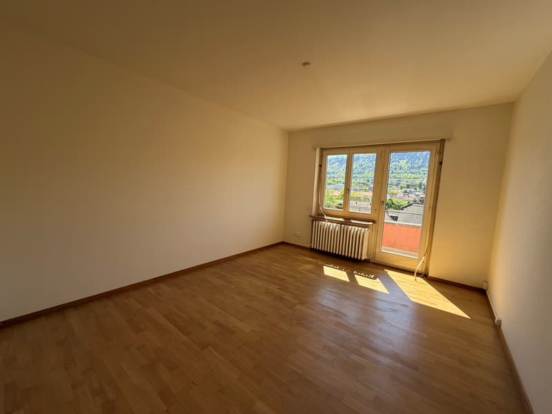 Appartement central et lumineux dans un quartier bien entretenu, limité à 1 an. (8)