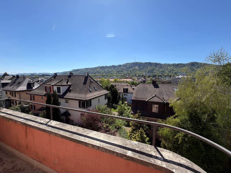 Appartement central et lumineux dans un quartier bien entretenu, limité à 1 an. (11)
