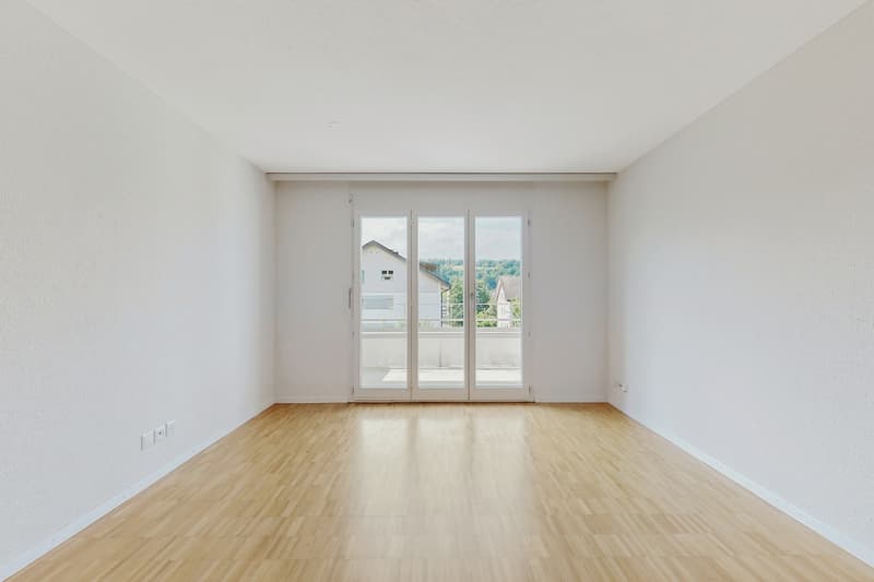 Oasi residenziale tranquilla cercata? appartamento di 3,5 locali appena ristrutturato (4)