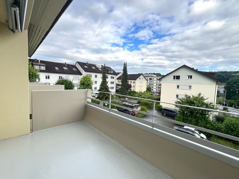 Oasi residenziale tranquilla cercata? appartamento di 3,5 locali appena ristrutturato (9)