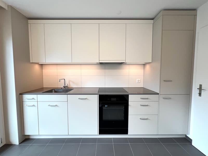 Oasi residenziale tranquilla cercata? appartamento di 3,5 locali appena ristrutturato (2)