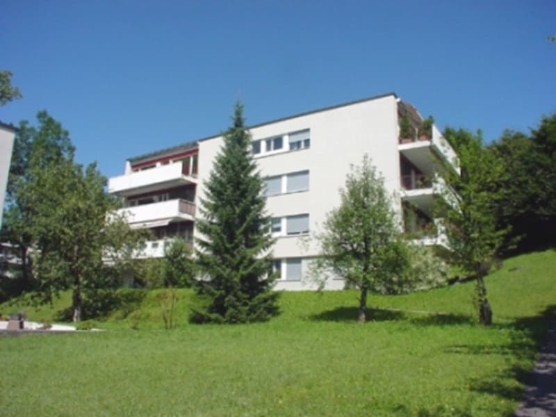 Hobby room at Zugerberg with great views for rent! (1)