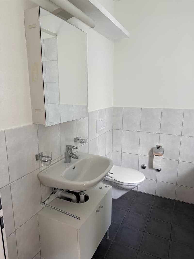 Votre nouveau refuge dans la ville de Lucerne ! (6)