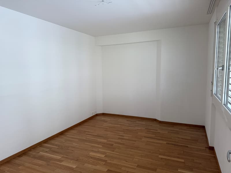 Votre nouveau refuge dans la ville de Lucerne ! (4)