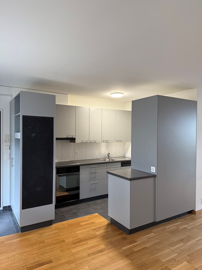 Votre nouveau refuge dans la ville de Lucerne ! (1)