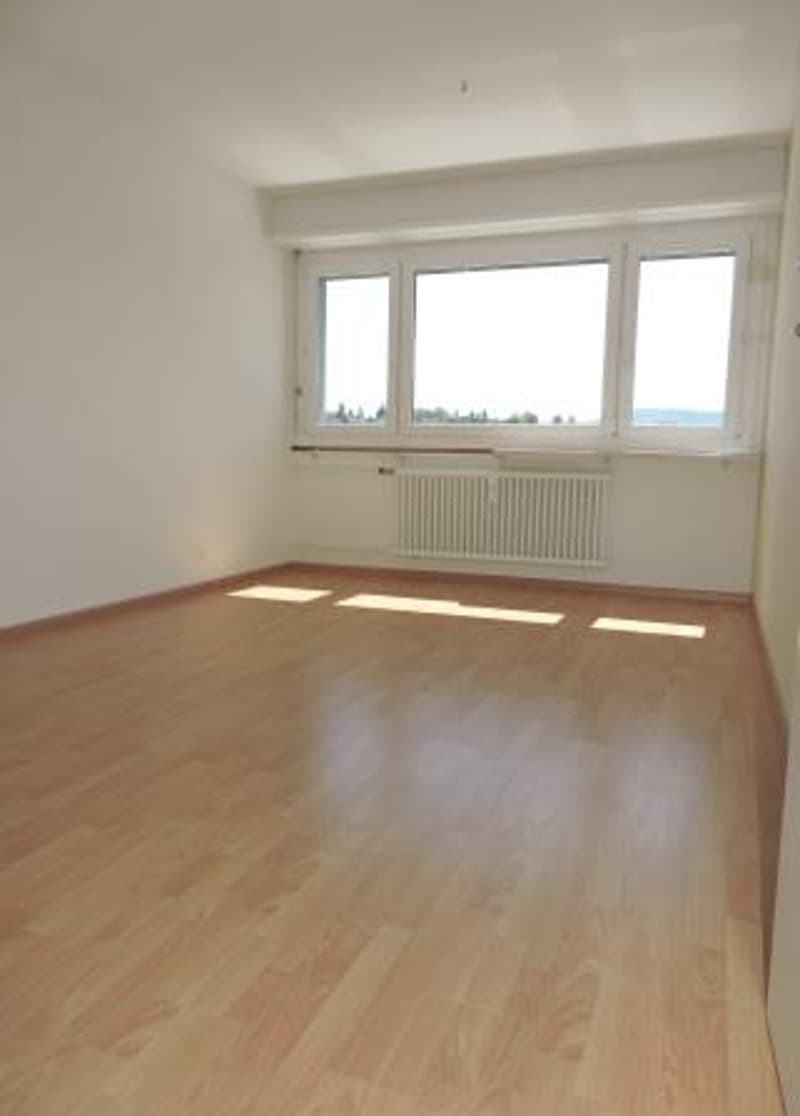 Attenzione single: Affascinante appartamento monolocale a Therwil (2)