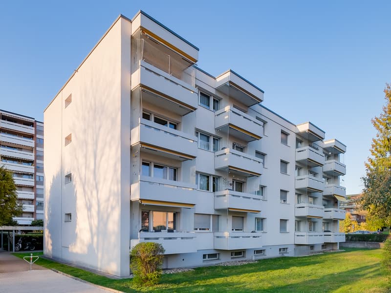 Attenzione single: Affascinante appartamento monolocale a Therwil (1)