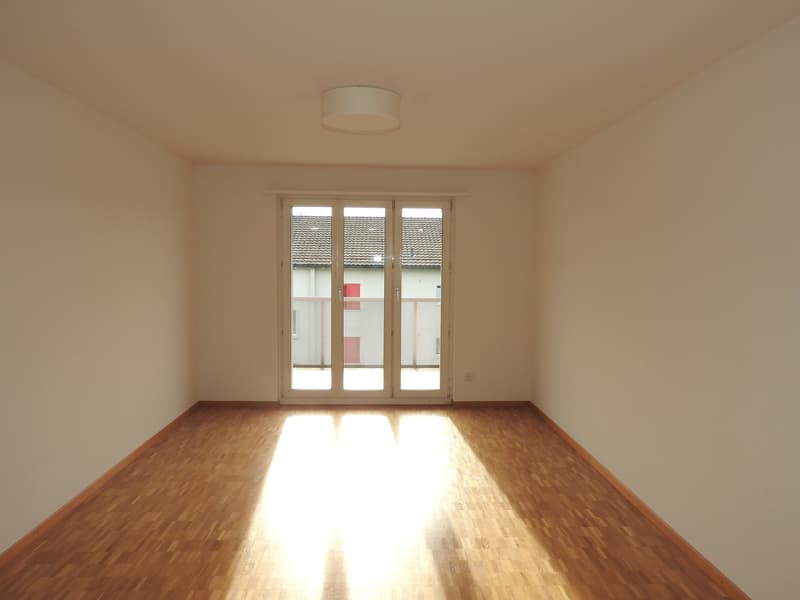 Grosszügige Single-Wohnung nähe Stadtzentrum (4)