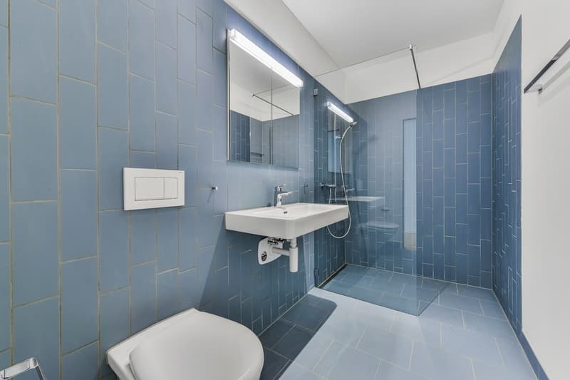 Zwicky-Zentrum - Ihr neues Zuhause modern und praktisch! (5)