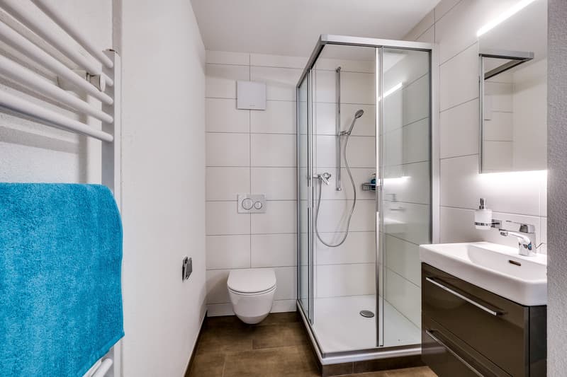 Appartement dans un quartier résidentiel populaire (3)
