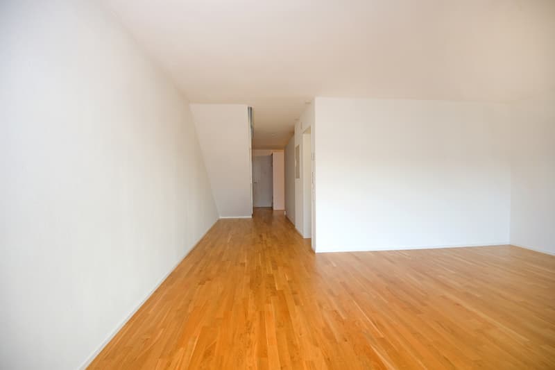 Appartamento maisonnette attraente con terrazza sul tetto (5)