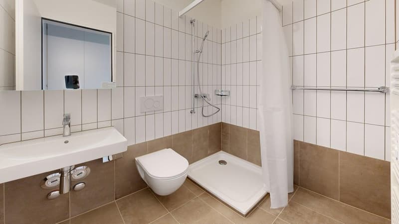 Temps pour un nouveau foyer - appartements de 4,5 pièces fraîchement rénovés (8)