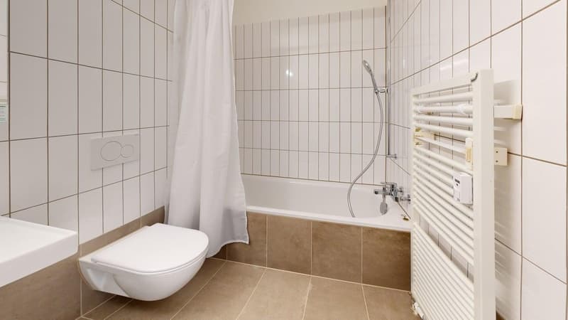 Temps pour un nouveau foyer - appartements de 4,5 pièces fraîchement rénovés (9)
