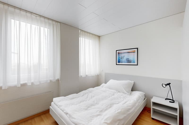 Praktische 1-Zimmerwohnung an zentraler Lage in Berikon (5)
