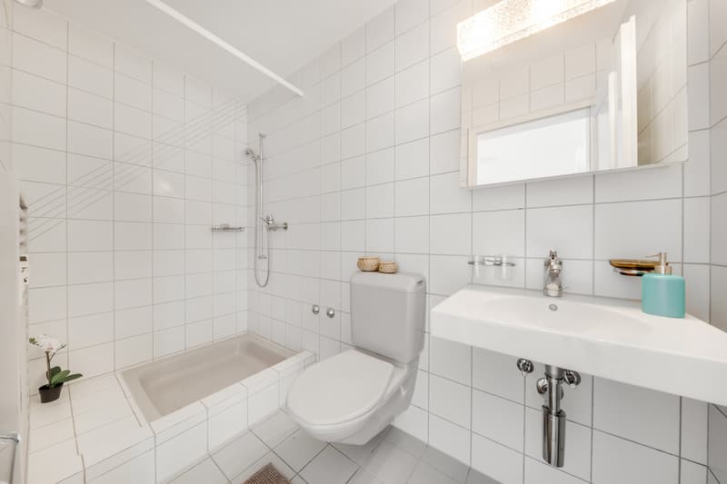 Appartement familial dans le verdure ! (9)