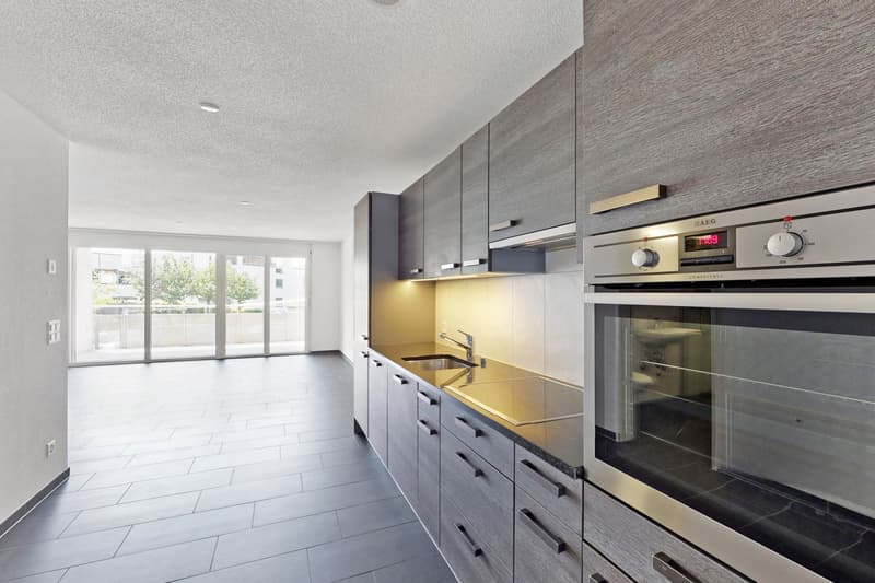Appartement single moderne et accueillant à la recherche de son propriétaire ! (3)