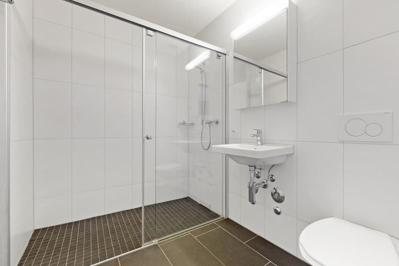 Appartement single moderne et accueillant à la recherche de son propriétaire ! (8)