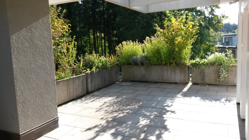 Rêve d'attique - dans le quartier préféré de Haslen avec 2 terrasses! (13)
